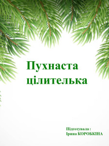 Презентация1 — копия