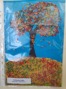 IMG-6bf301815749fc56aad07e91bed74554-V